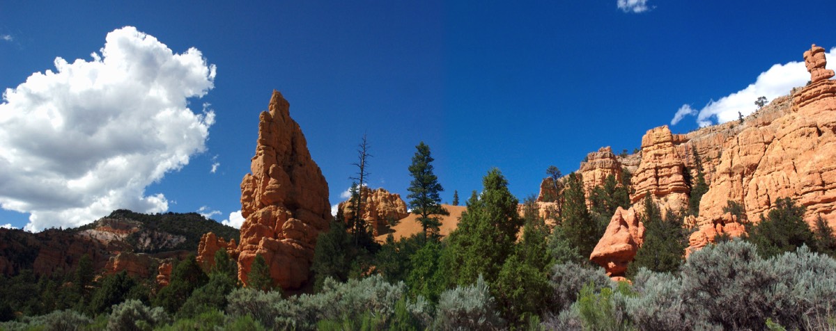 Stacks Image 15