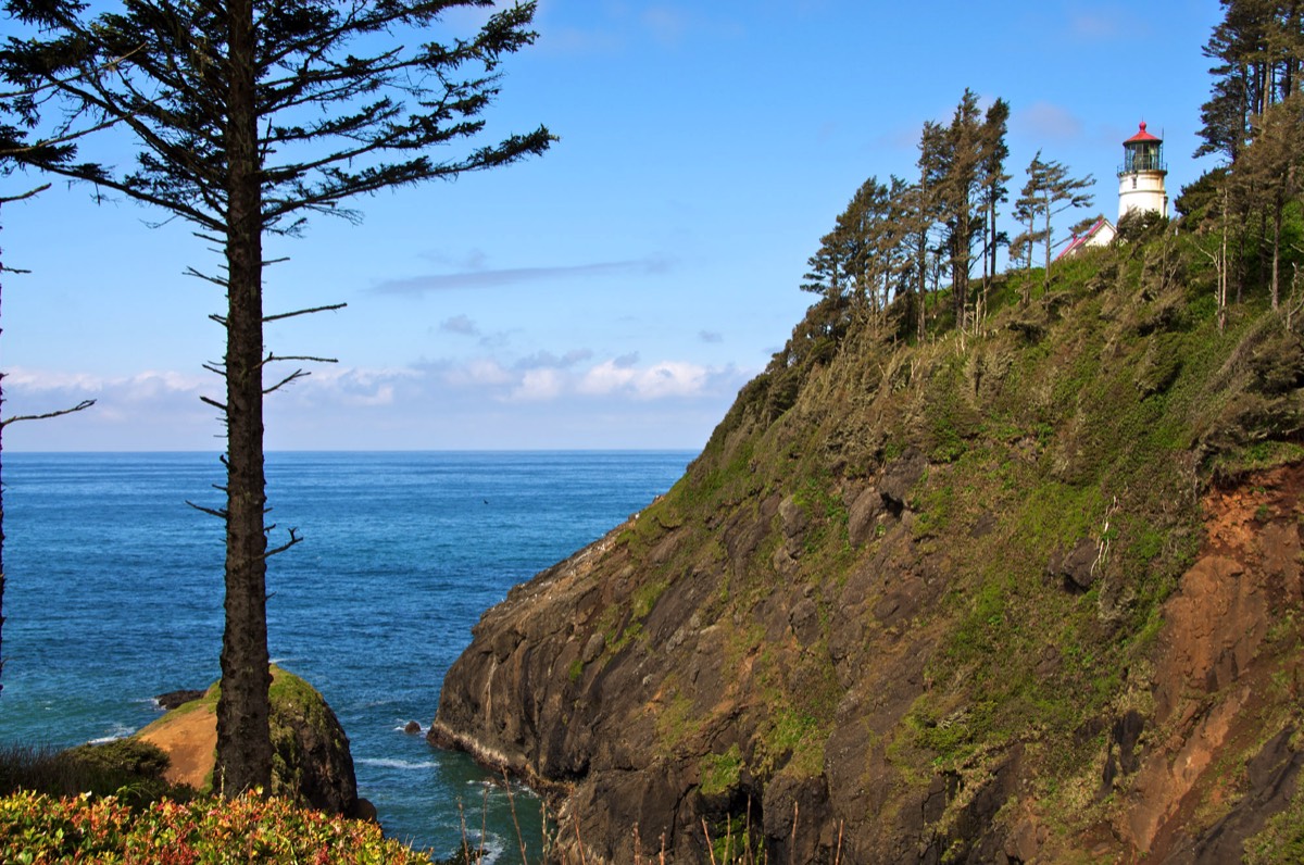 Stacks Image 11